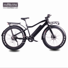 48v 1000w fast fat electric bike with hidden battery,8fun mid drive electric bicycle,low price e bike made in china